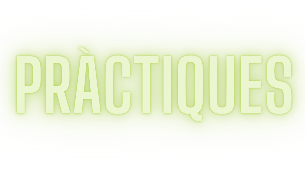 imatge accés practiques