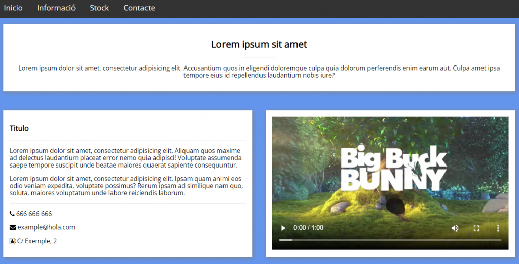 imatge responsive1